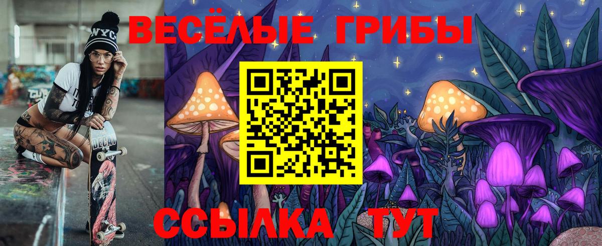 Галлюциногенные грибы GOLDEN TEACHER Александров