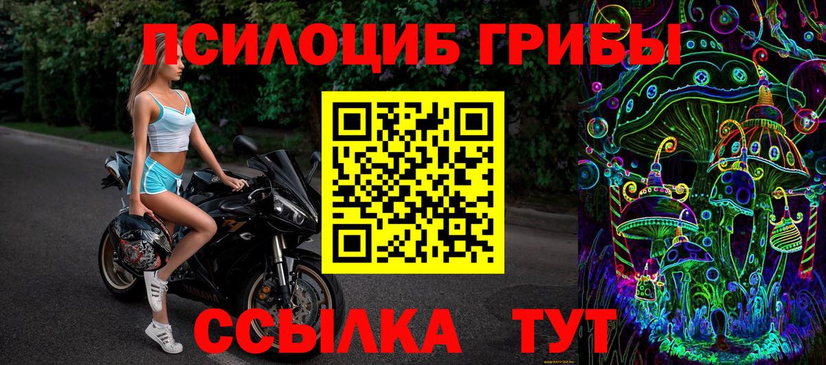 Галлюциногенные грибы MAGIC MUSHROOMS  Вход с VPN  Галлюциногенные грибы MAGIC MUSHROOMS  Александров 